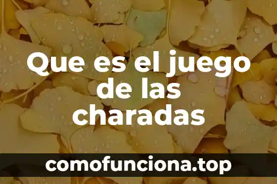 Nombre del juego que es como un laberinto 4 Que es el juego de las charadas