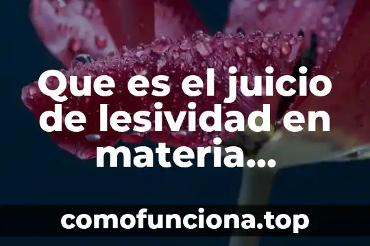 Que es la informática contable administrativa 5 Que es el juicio de lesividad en materia administrativa