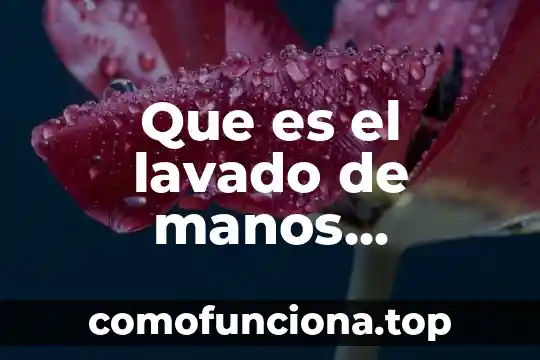 Un mono que es humano que se esconde las manos 5 Que es el lavado de manos definicion oms