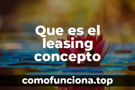 Que es insumos en alimentos 5 Que es el leasing concepto
