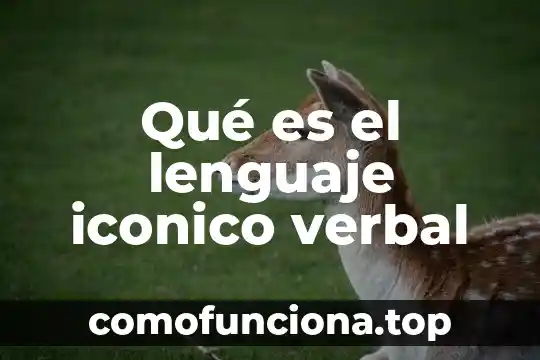 Qué es el tiempo verbal pretérito 8 Qué es el lenguaje iconico verbal