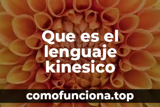 Que es el lenguaje materno 6 Que es el lenguaje kinesico