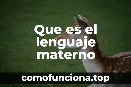 Que es el lenguaje no verbal facial 8 Que es el lenguaje materno