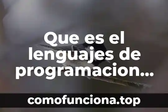 Que es yacc en lenguajes automatas 5 Que es el lenguajes de programacion c