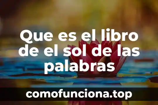 Que es el valor maximo de recuperación 6 Que es el libro de el sol de las palabras