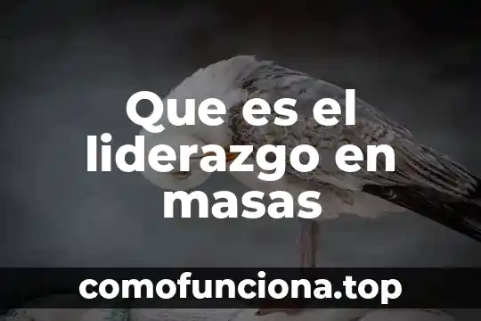 Qué es liderazgo y tipos 3 Que es el liderazgo en masas