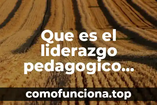 Qué es liderazgo y tipos 6 Que es el liderazgo pedagogico segun autores