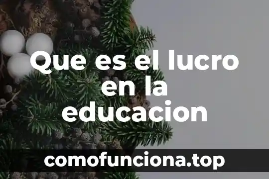 Que es una sociedad con fines de lucro 6 Que es el lucro en la educacion
