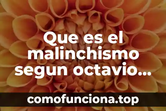 Que es del institute para la economics y la paz 7 Que es el malinchismo segun octavio paz
