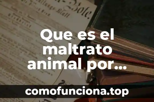 Que es un animal koala 3 Que es el maltrato animal por abandono