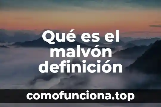 Qué es un lactante definición 5 Qué es el malvón definición