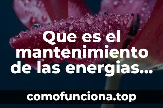 Qué es energías renovables definición 7 Que es el mantenimiento de las energias renovables