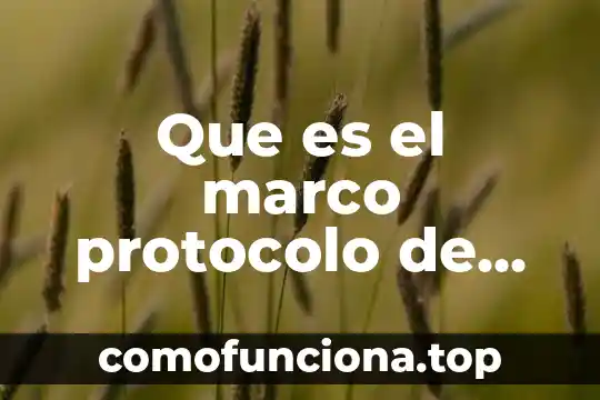 Que es un marco de referencia de un proyecto 5 Que es el marco protocolo de una tesis