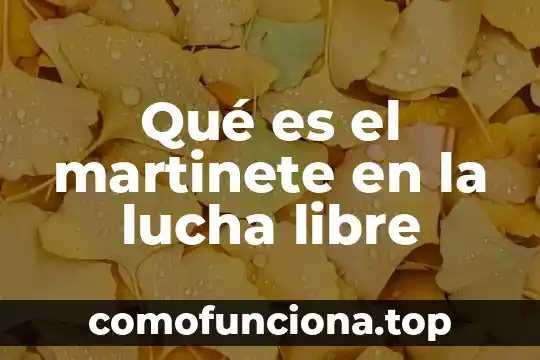 Que es tiempo libre en la sociedad 5 Qué es el martinete en la lucha libre