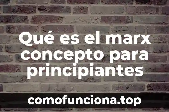 Que es el concepto de las lineas paralelas 3 Qué es el marx concepto para principiantes