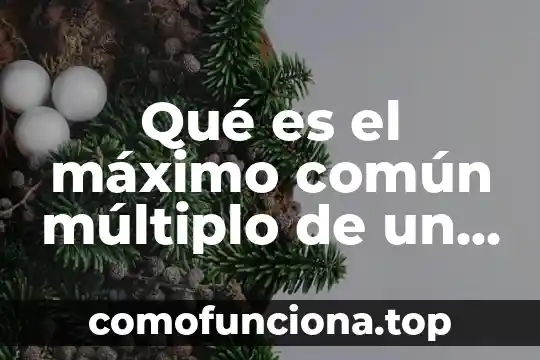 Que es el comun multiplo primaria 5 Qué es el máximo común múltiplo de un número