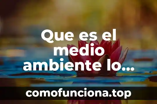 Que es mas importante la libertad o la vida 5 Que es el medio ambiente lo mas importante