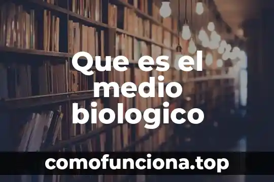 Qué es la integridad de identidad del adolescente 4 Que es el medio biologico