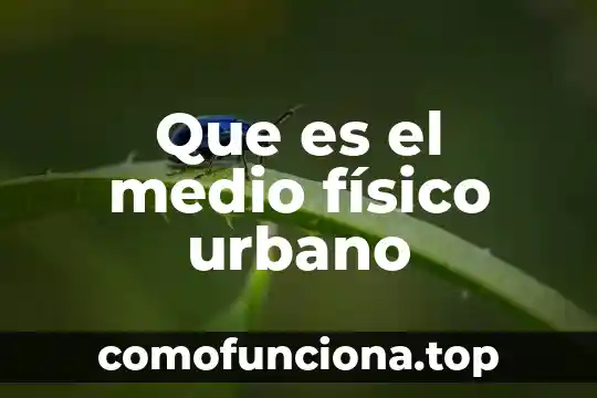 Qué es música asturiana 3 Que es el medio físico urbano