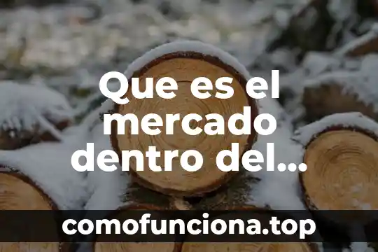 Que es el enves de una planta 3 Que es el mercado dentro del apitlismo