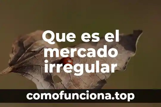 Qué es un asentamiento irregular según 7 Que es el mercado irregular