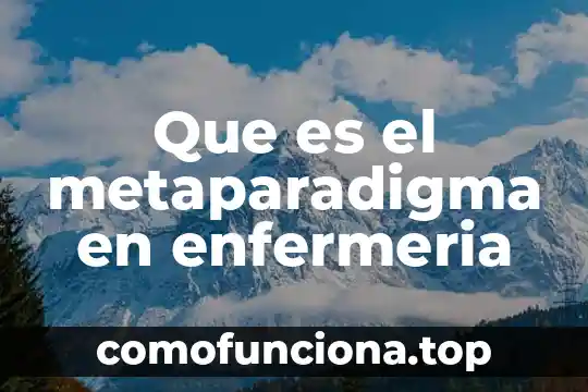 Qué es septicemia en enfermería 7 Que es el metaparadigma en enfermeria
