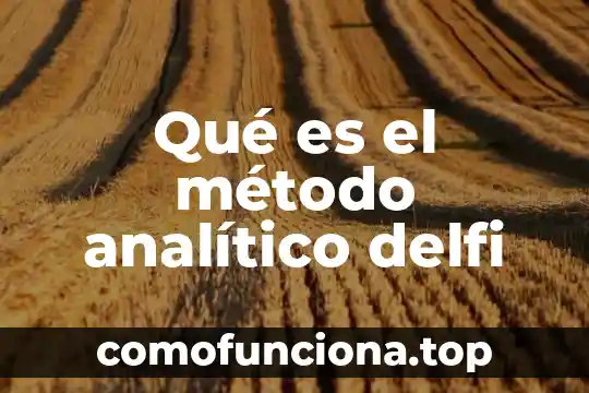 Qué es un método del conocimiento 3 Qué es el método analítico delfi