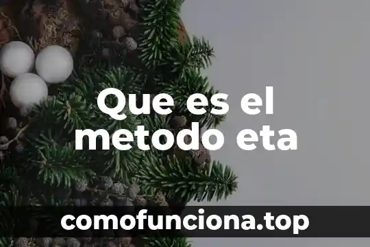 Qué es un método en matemáticas 8 Que es el metodo eta