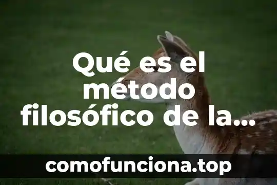 Qué es el conocimiento desde el punto de vista filosófico 8 Qué es el método filosófico de la teoría del estado