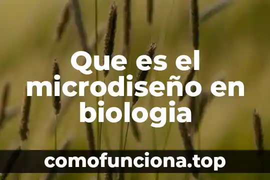 Que es patronímico en biologia 3 Que es el microdiseño en biologia
