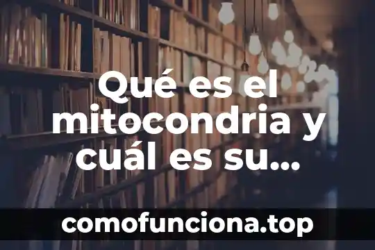 Que es palabra y signo 3 Qué es el mitocondria y cuál es su función