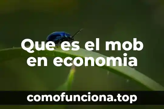 Qué es una teoría economía 7 Que es el mob en economia