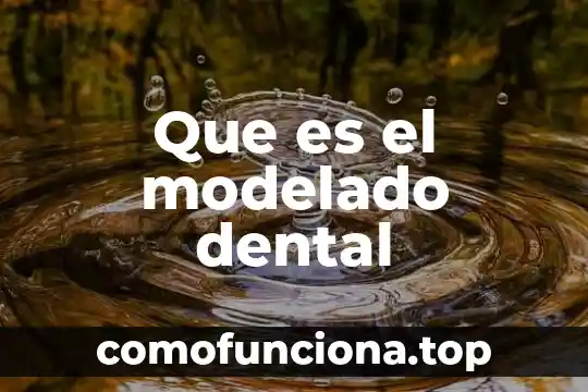 Que es firma en economia 6 Que es el modelado dental