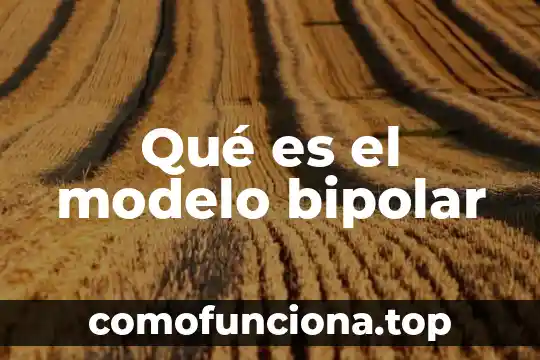 Que es la cardinalidad en el modelo entidad relacion 8 Qué es el modelo bipolar