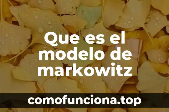 Modelo en espiral en programación que es la planificación 7 Que es el modelo de markowitz