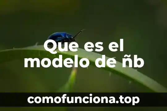 Qué es el modelo dialógico 3 Que es el modelo de ñb