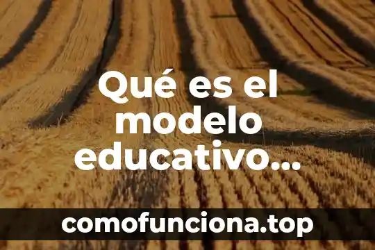 Modelo en espiral en programación que es la planificación 4 Qué es el modelo educativo tecnológico