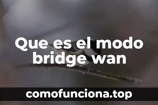 Que es wan libro 4 Que es el modo bridge wan