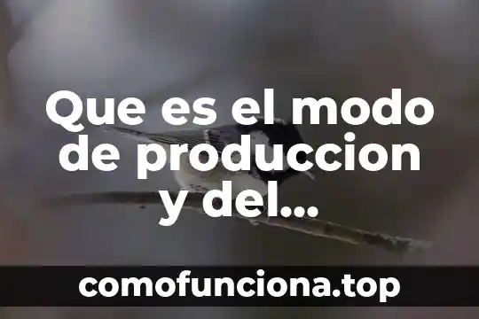 Que es el modo privacidad panda 4 Que es el modo de produccion y del conocimiento