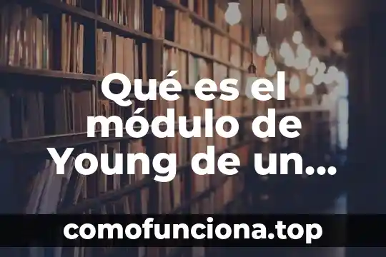Qué es el módulo de Hooke teoría 4 Qué es el módulo de Young de un material
