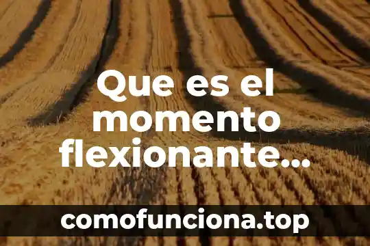Que es un diagrama de cortante y flexionante 4 Que es el momento flexionante fuerza cortante