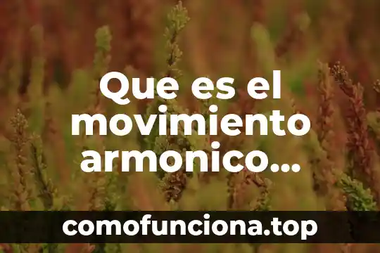 Que es un inventario de lento movimiento 3 Que es el movimiento armonico simple en una grafica