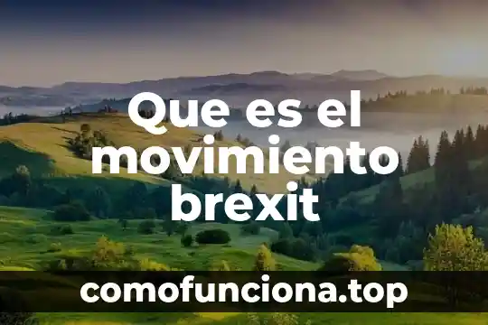 Por que es importante el movimiento del cuerpo 6 Que es el movimiento brexit