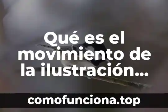 Que es el movimiento de objetos 5 Qué es el movimiento de la ilustración francesa