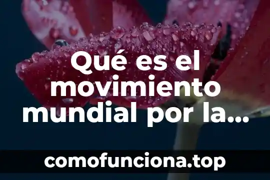 Qué es movimiento uniforme y no uniforme 3 Qué es el movimiento mundial por la desinversión