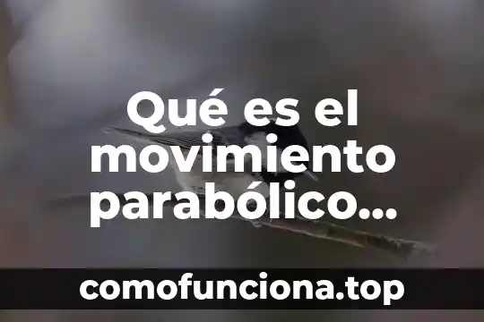 Qué es el tiro parabólico oblicuo en física 3 Qué es el movimiento parabólico ejemplos