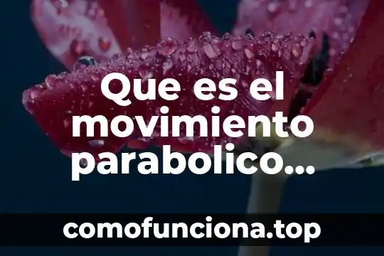 Qué es el movimiento parabólico ejemplos 5 Que es el movimiento parabolico horizontal