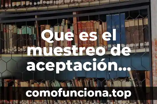 Que es un concepto sampieri 5 Que es el muestreo de aceptación segun sampieri