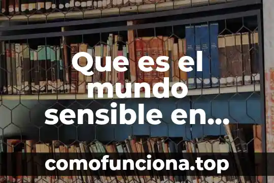 Qué es subterráneo en filosofía 6 Que es el mundo sensible en filosofia