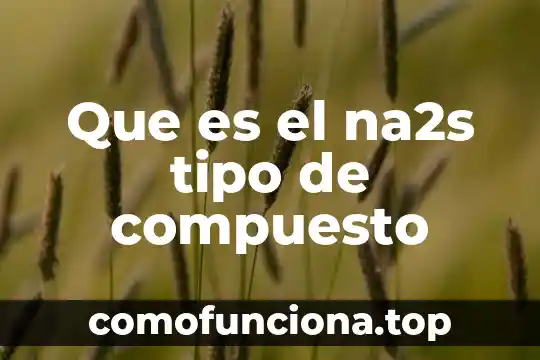 Que es una licencia de conducir tipo a 7 Que es el na2s tipo de compuesto